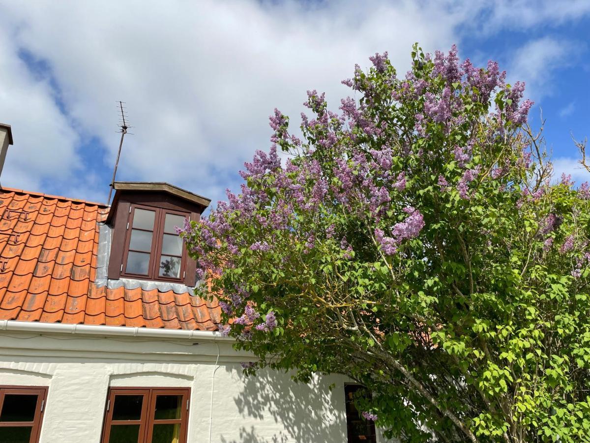 A True Nature Pearl In Idyllic Surroundings But Close To The City Holbæk Exteriér fotografie